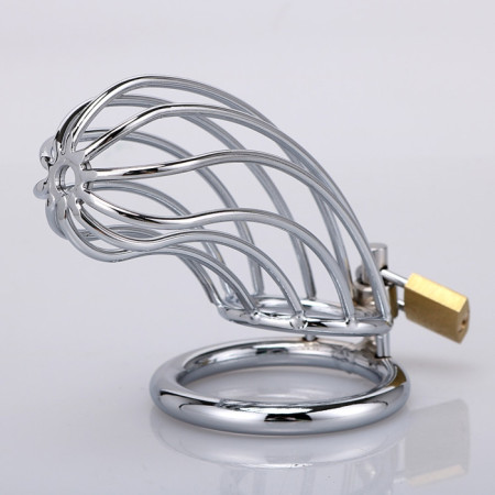 Apollo Cock Cage 50mm Silver
