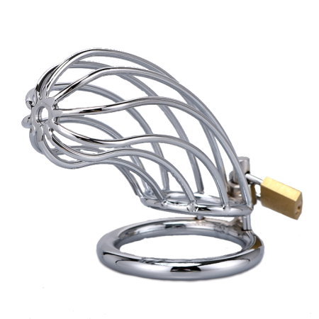 Apollo Cock Cage 50mm Silver